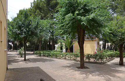 Vivens Residencia de Mayores arboles